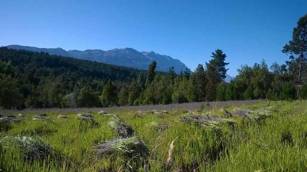 Morada Del Sol - Experiencia De Montana Villa El Bolsón Екстериор снимка